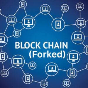 Blockchain Software (Forked)